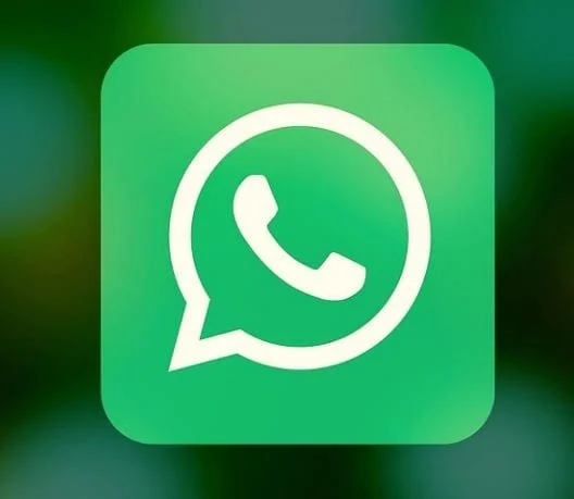 WhatsApp: Kako najti določeno sporočilo