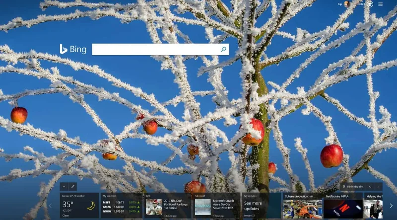 Kako onemogočiti predloge za iskanje Bings