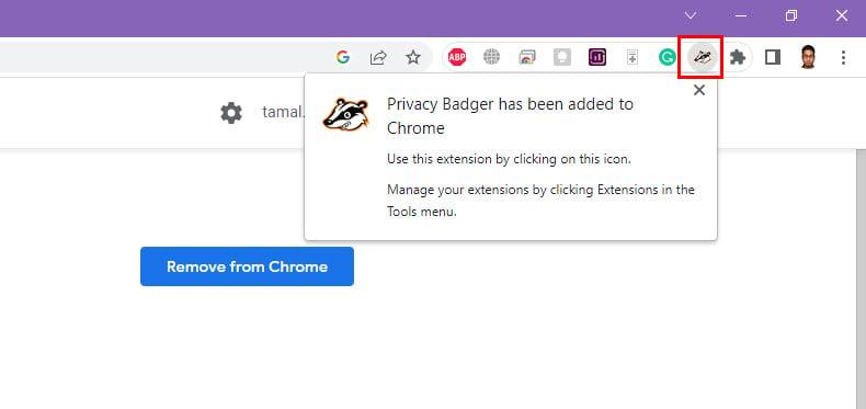 Как да използвате разширението Privacy Badger за Chrome, за да спрете уеб тракерите