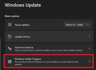 Windows 11: Vlerësimi Kopjo ujëra pas përditësimit
