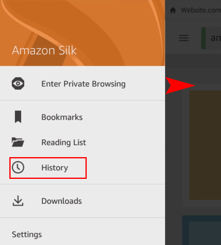 Amazon Fire: esborra la memòria cau del navegador, l'historial o les galetes