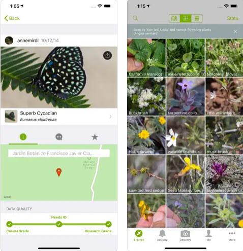 As 11 mellores aplicacións de xardinería para iOS e Android en 2023