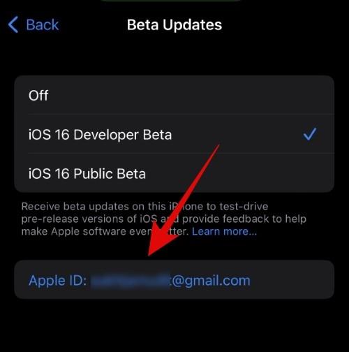 Як вибрати інший Apple ID для бета-оновлень iOS