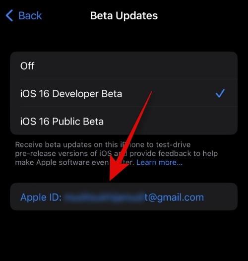 Як вибрати інший Apple ID для бета-оновлень iOS