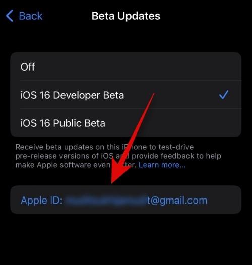 Jak si vybrat jiné Apple ID pro aktualizace iOS Beta