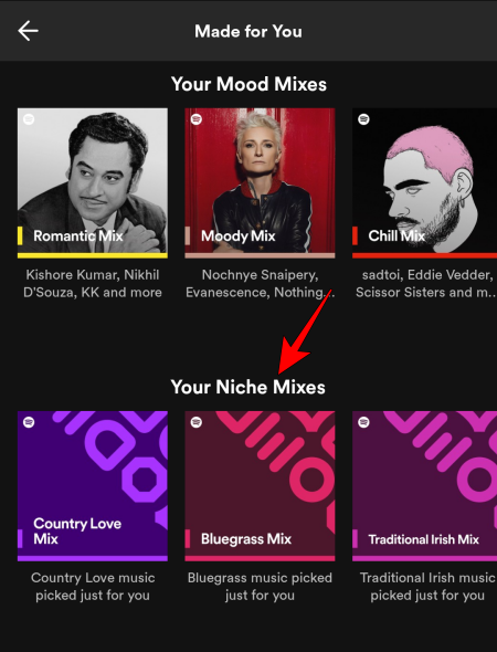 Hvordan finne nisjemikser i Spotify på PC eller telefon