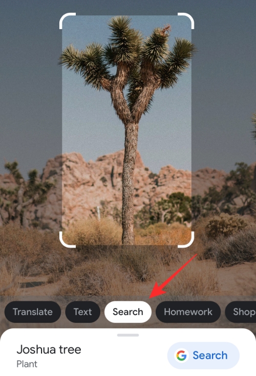 Візуальний пошук не працює на iPhone?  7 способів виправити це