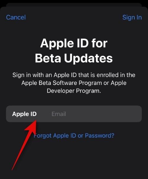 Як вибрати інший Apple ID для бета-оновлень iOS