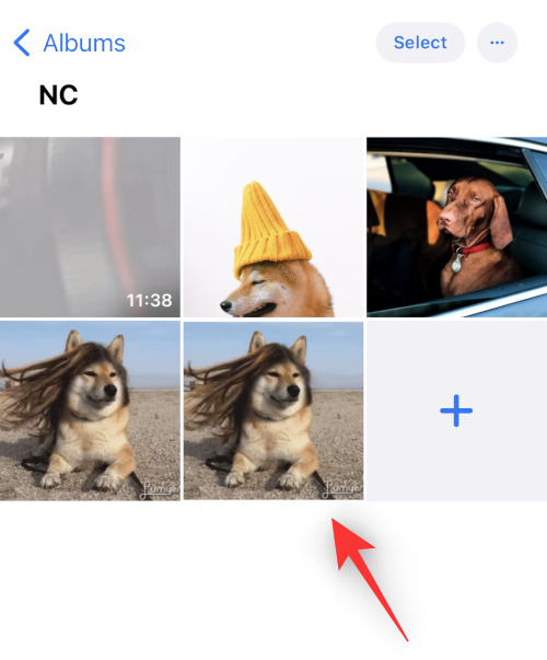 IOS 16 Photo Cutout: Topp 6 måter å lage et utklipp på og 4 måter å lime inn og bruke det