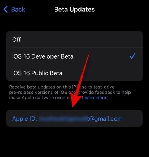 Jak si vybrat jiné Apple ID pro aktualizace iOS Beta