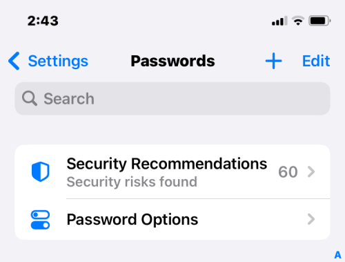 Як відновити видалені паролі на iPhone на iOS 17