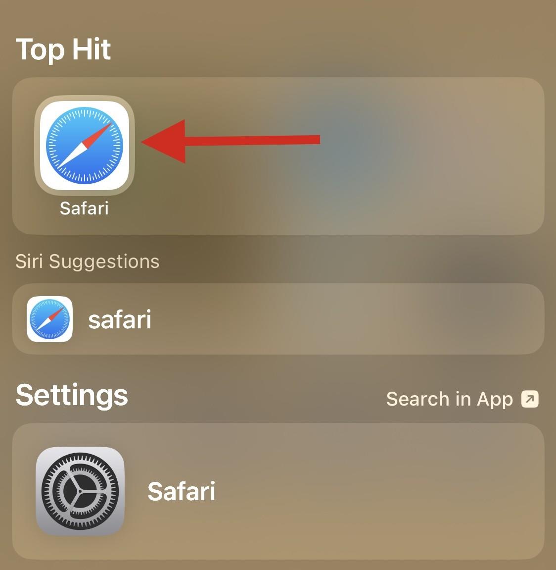 8 способів перевстановити Safari на iPhone [2023]