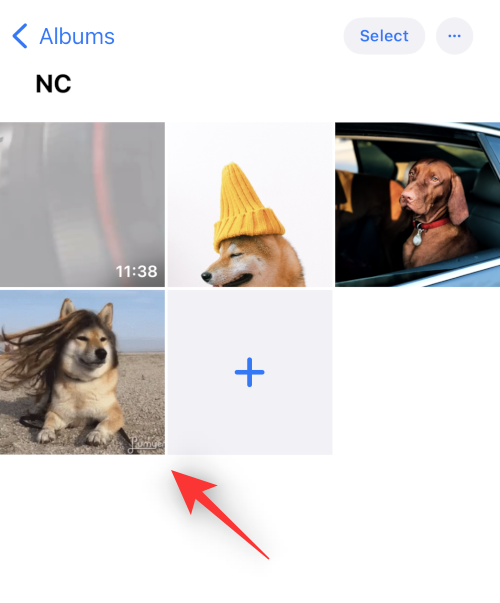 IOS 16 Photo Cutout: Topp 6 måter å lage et utklipp på og 4 måter å lime inn og bruke det