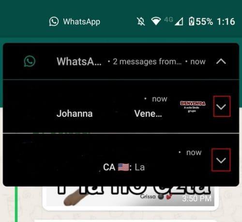 WhatsApp: kā skatīt ziņojumus, neizslēdzot zilās atzīmes