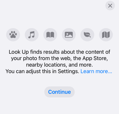 Візуальний пошук не працює на iPhone?  7 способів виправити це