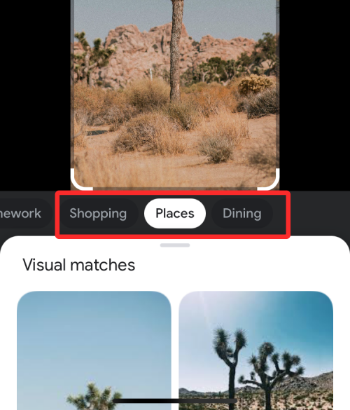A Visual Look Up nem működik iPhone-on?  7 módszer a javításra