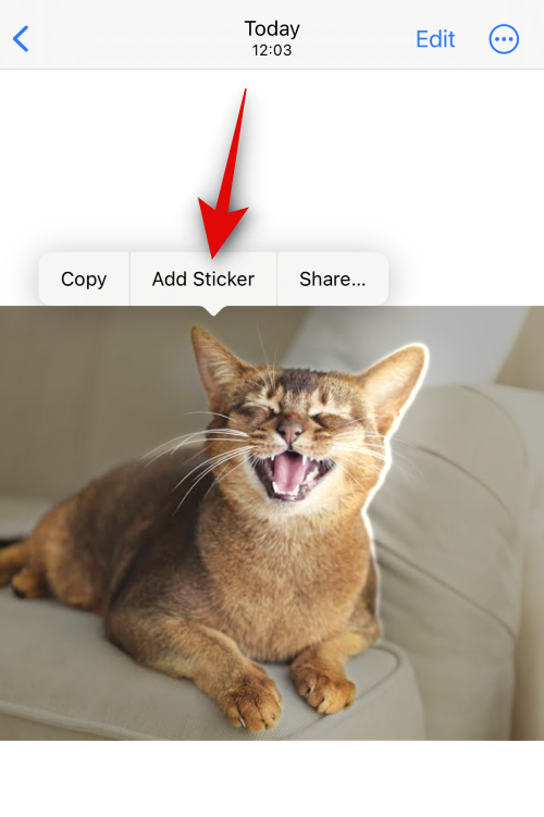 Hur du skapar Live-klistermärken med dina foton på iOS 17 och högre