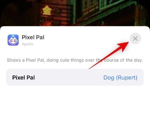 A Pixel Pals beszerzése iPhone 14 Pro és Pro Max készülékeken