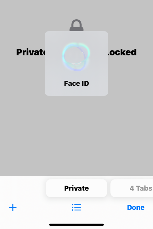 Як вимагати Face ID для розблокування приватного перегляду в Safari на iOS 17