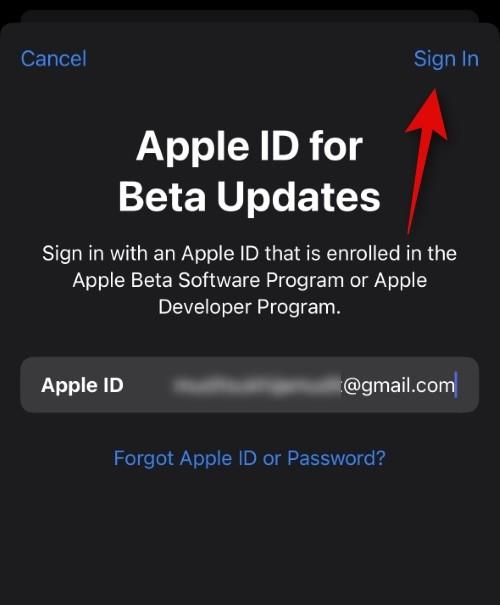 Як вибрати інший Apple ID для бета-оновлень iOS