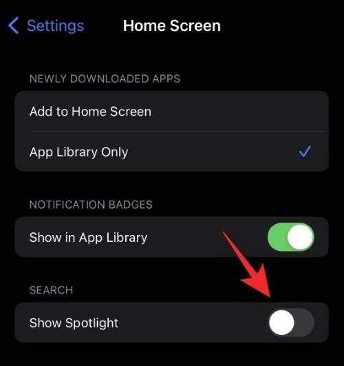 Що таке кнопка пошуку на головному екрані в iOS 16?
