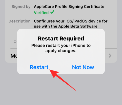 Ako odstrániť iOS 16 Beta bez počítača: Sprievodcovia a podrobnosti, ktoré potrebujete vedieť