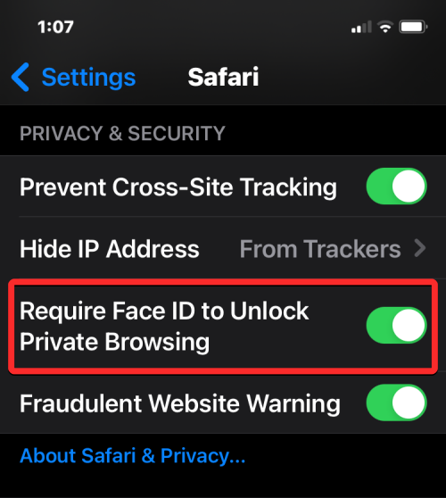 Як вимкнути режим приватного перегляду в Safari на iPhone [2023]