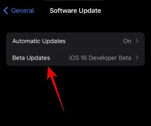 Jak si vybrat jiné Apple ID pro aktualizace iOS Beta