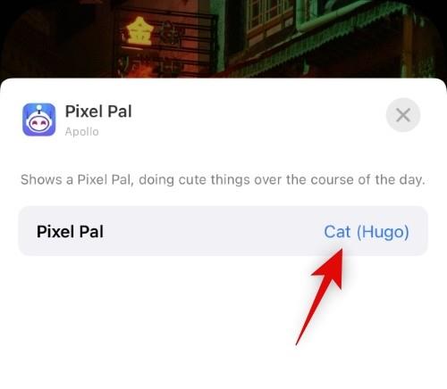 A Pixel Pals beszerzése iPhone 14 Pro és Pro Max készülékeken