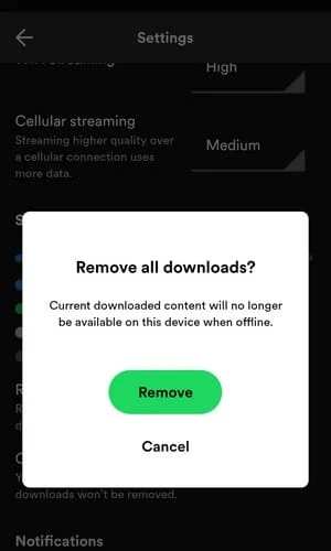 Zkontrolujte, kolik místa zabírají písně Spotify