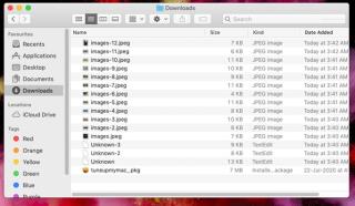 Com esborrar fitxers i carpetes descarregats per netejar el vostre Mac