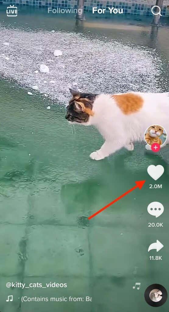 Com ser destacat a la pàgina "Per a tu" de TikTok