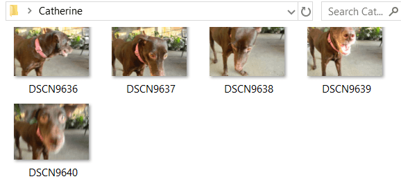 Como cambiar o tamaño das fotos en masa usando Windows 10