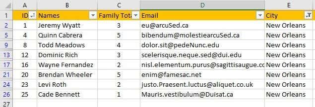 Com filtrar dades a Excel