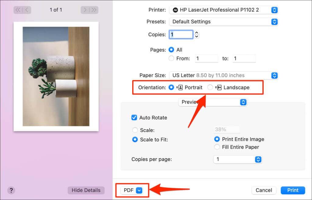 Com convertir o desar una imatge com a fitxer PDF