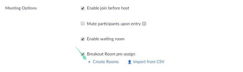 Zoom Breakout Rooms: todo o que necesitas saber