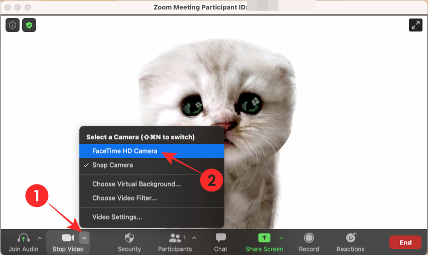 Zoom Cat Filter: como conseguilo, activalo e desactivalo