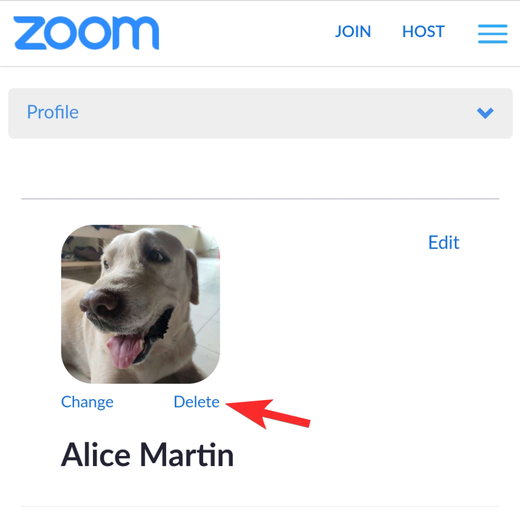 Como eliminar a imaxe de perfil de Zoom no teu teléfono ou PC