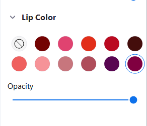 Zoom Studio efekti: kā nomainīt uzacis, lūpu krāsu, ūsas un bārdu ar filtriem