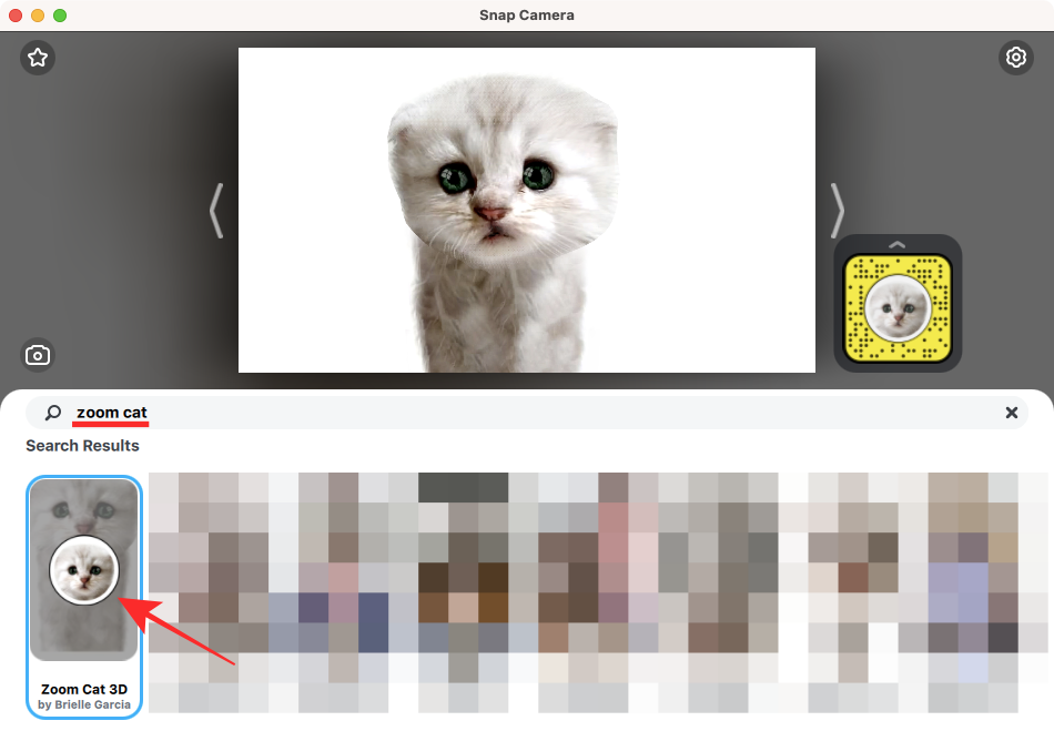 Filtri i Zoom Cat: Si ta merrni, ta aktivizoni dhe çaktivizoni