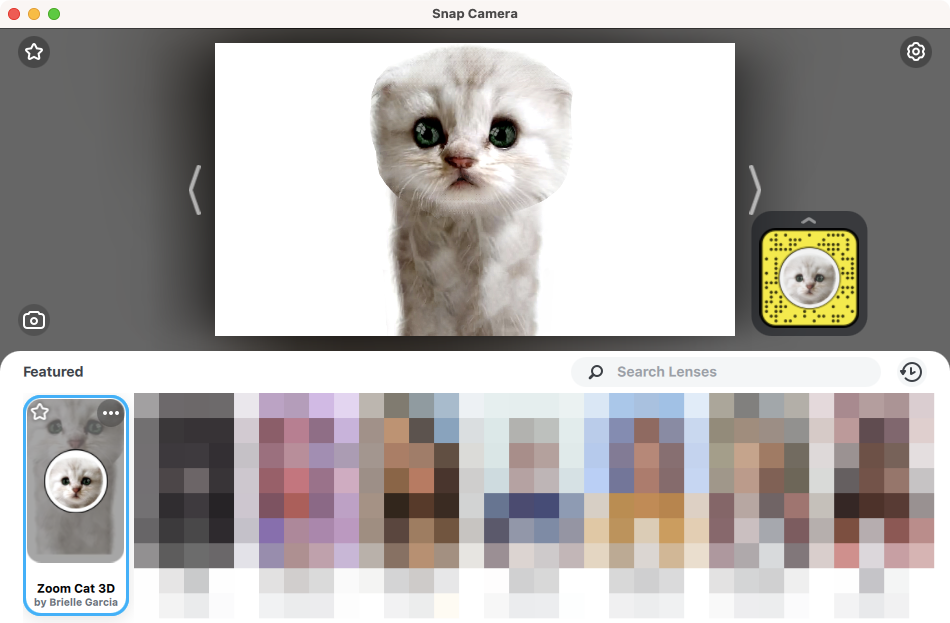 Filtri i Zoom Cat: Si ta merrni, ta aktivizoni dhe çaktivizoni