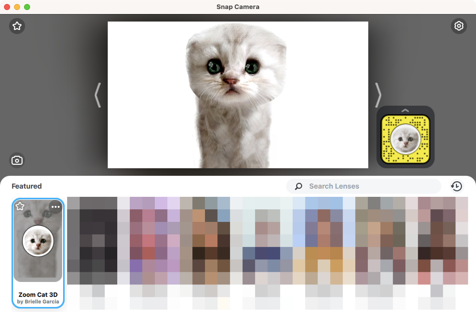 Zoom Cat Filter: como conseguilo, activalo e desactivalo